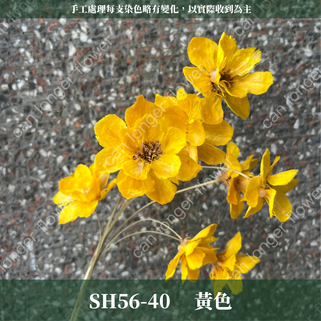 ✿ 台灣現貨 ✿ SH56 銀連花 原裝 10支裝 手工花