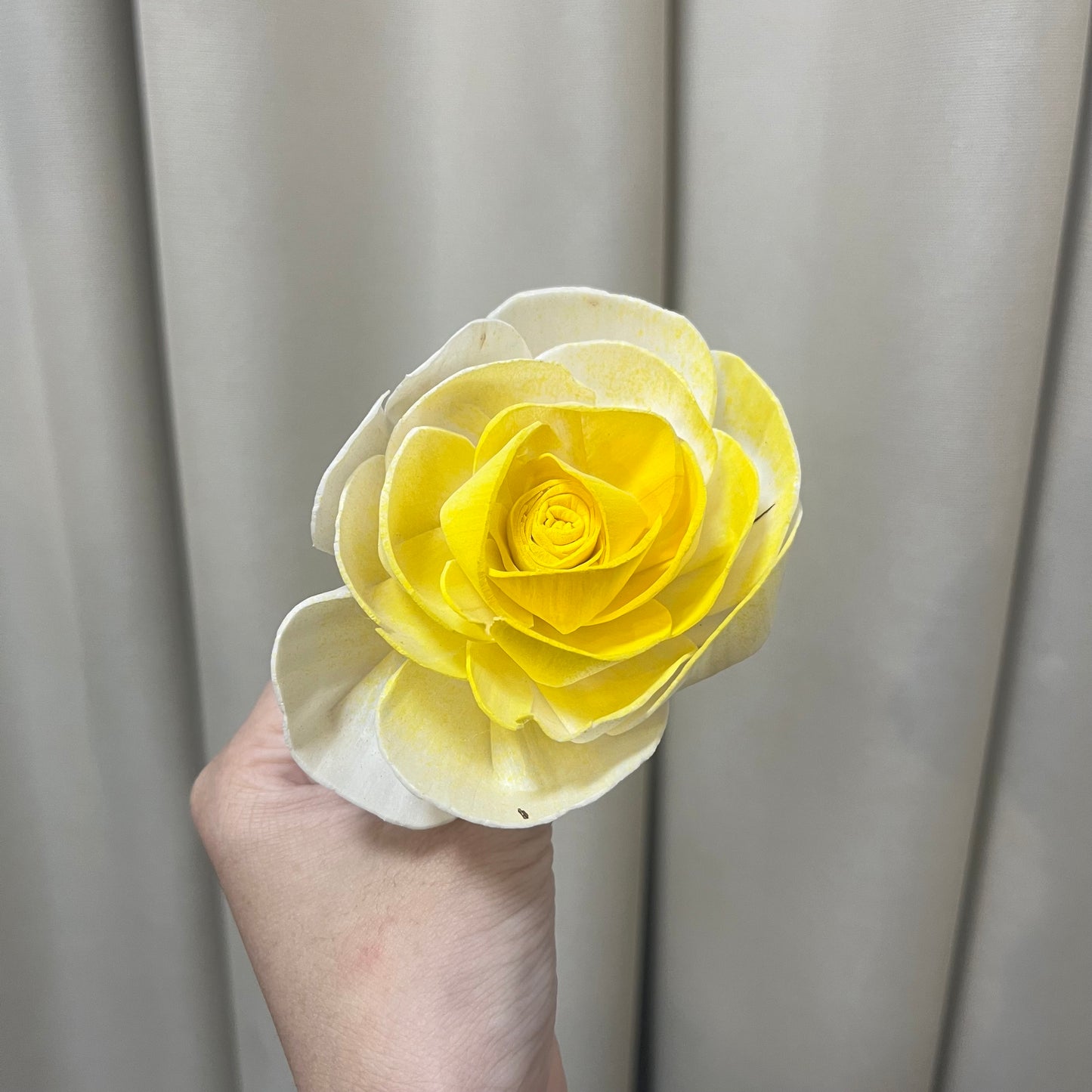 ✿ 台灣現貨 ✿ S-M索拉花 8CM 通草花 擴香花 天使玫瑰 玫瑰 薔薇
