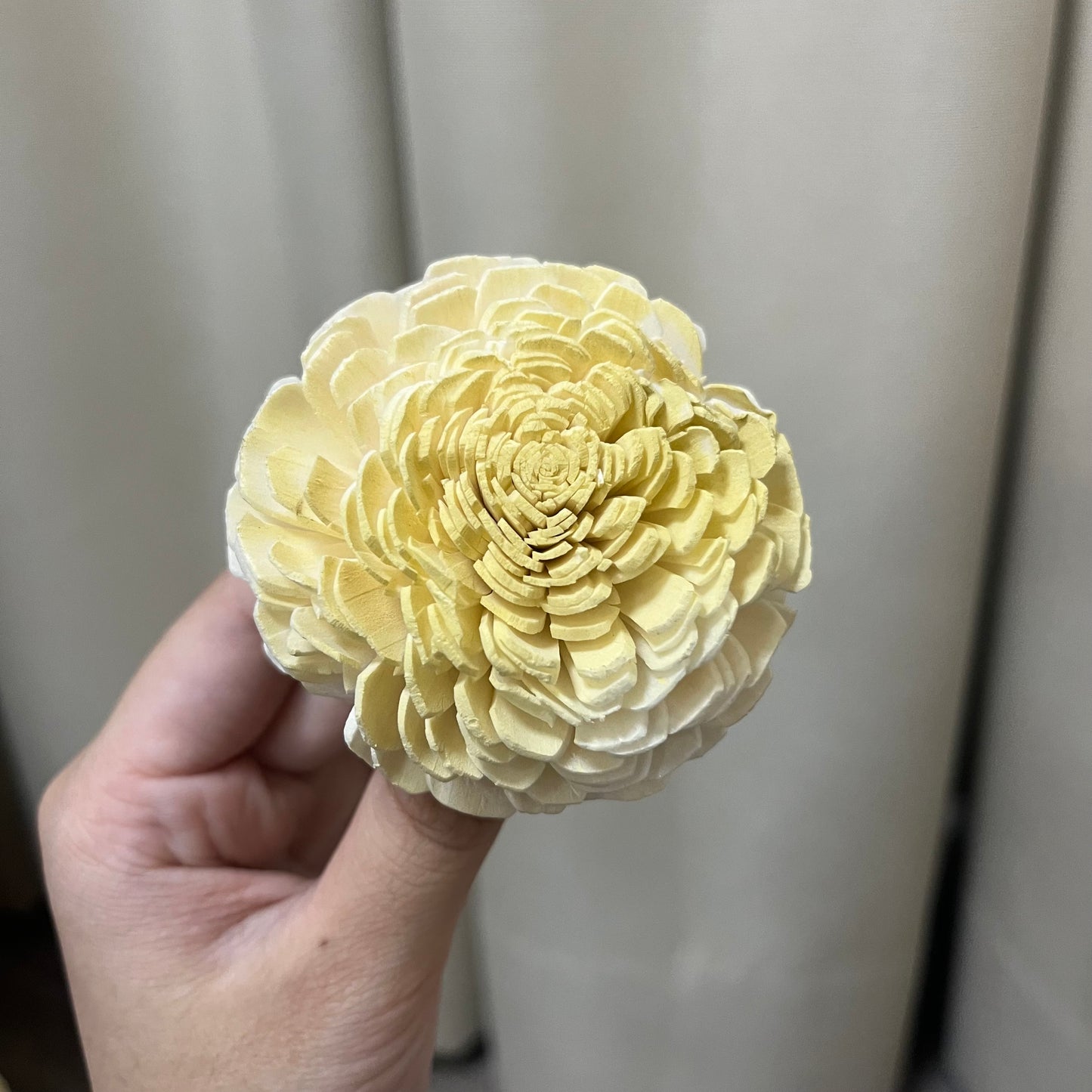 ✿ 台灣現貨 ✿ S-C 索拉花 6CM 通草花 擴香花 太陽玫瑰 日本大地 太陽菊