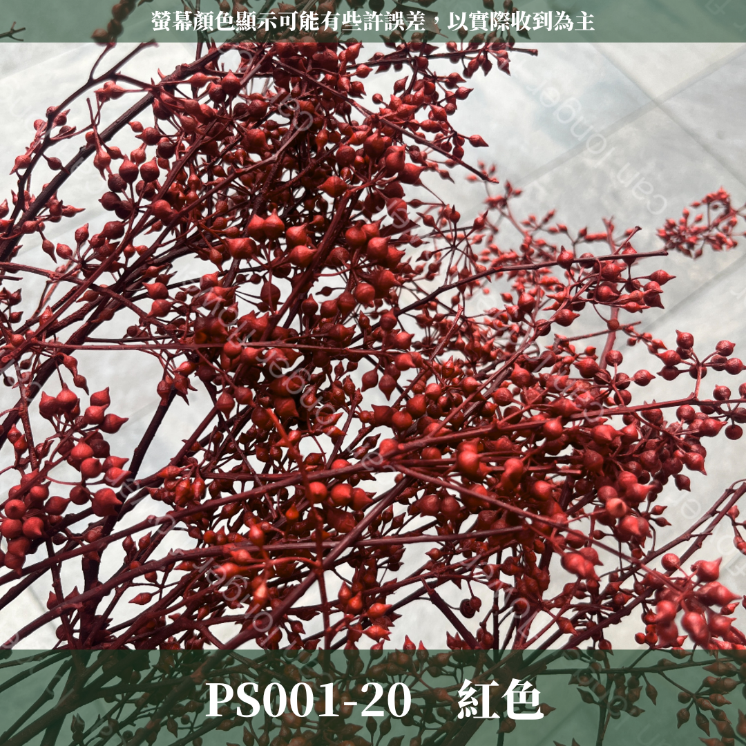 PS001 DS001 小米果 小米尤加利 約150克/包 尤加利果 桉樹果 台灣現貨