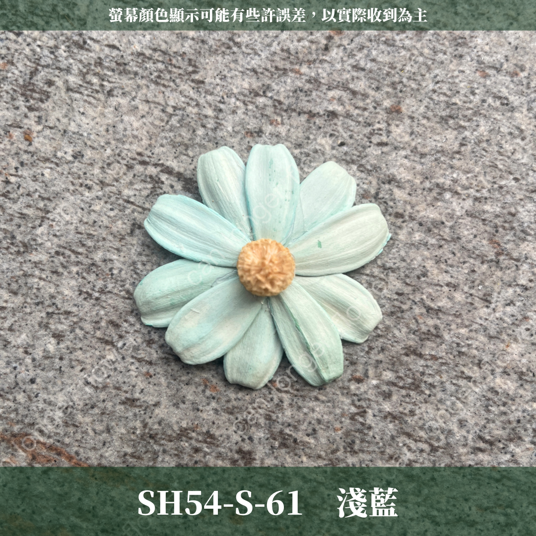 SH54-S 小雛菊花頭 單朵 台灣現貨