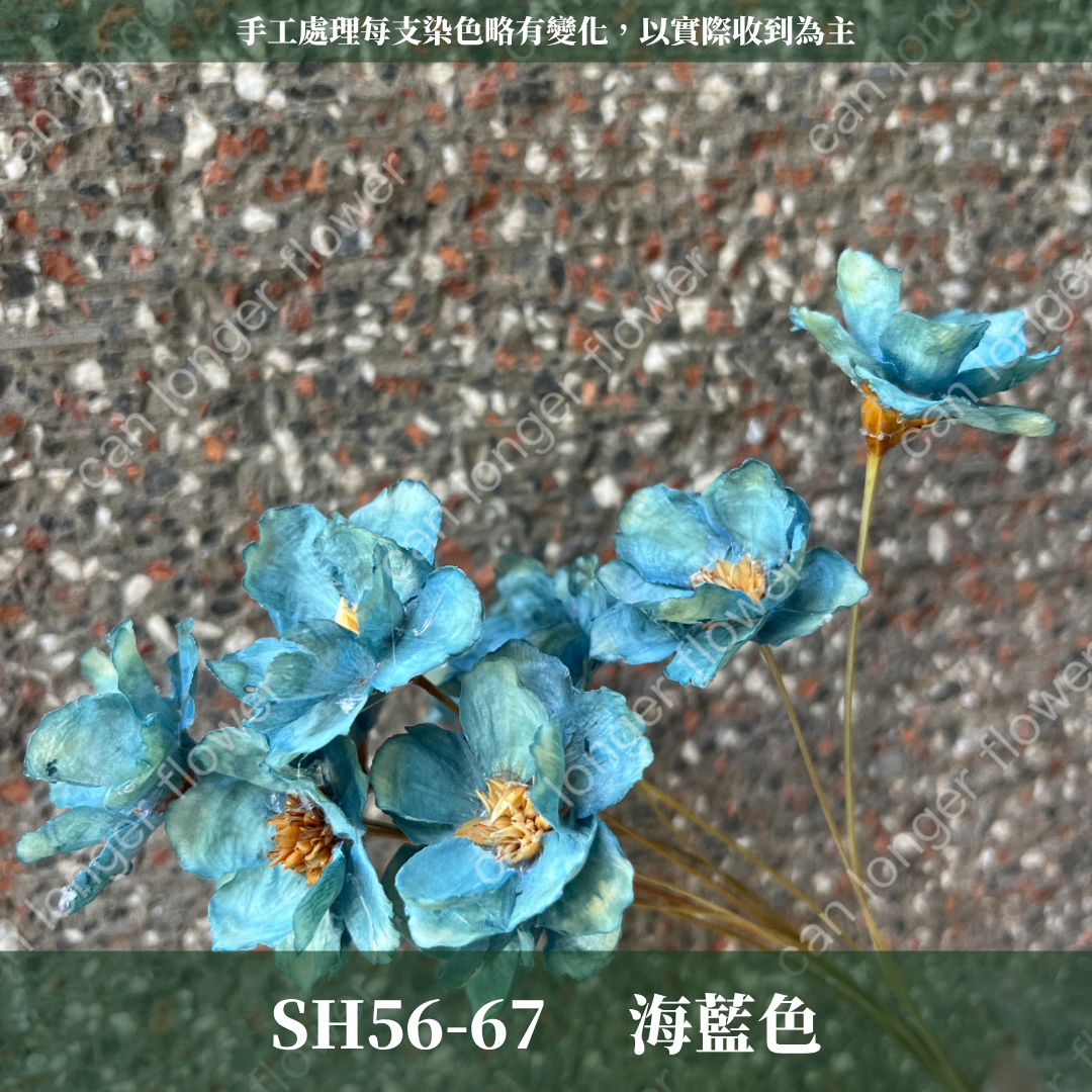 ✿ 台灣現貨 ✿ SH56 銀連花 原裝 10支裝 手工花