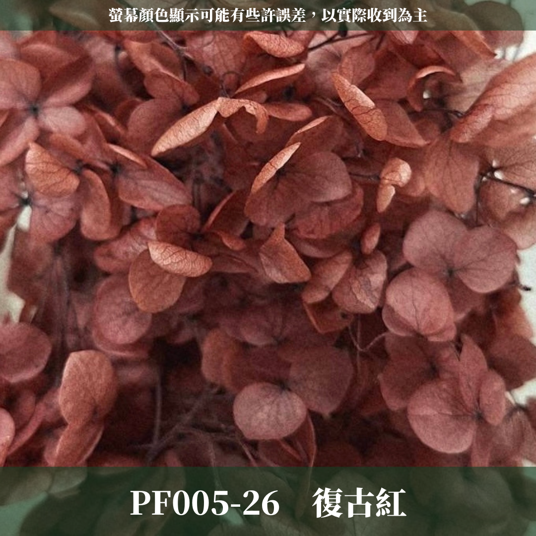 PF005-S 安娜繡球(約10克）盒裝 繡球 紫陽花 台灣現貨