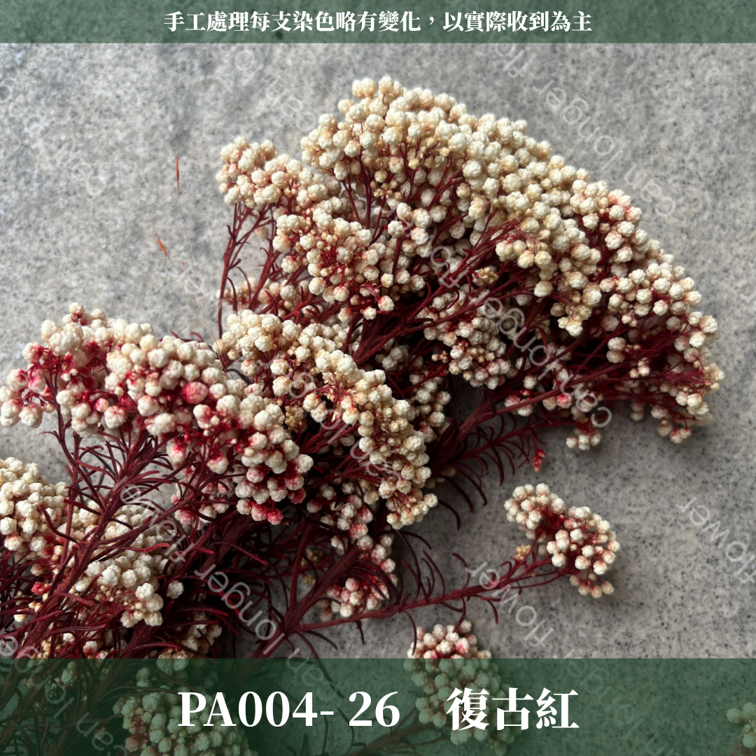 ✿ 台灣現貨 ✿ PA004 米香 水稻花 小米花
