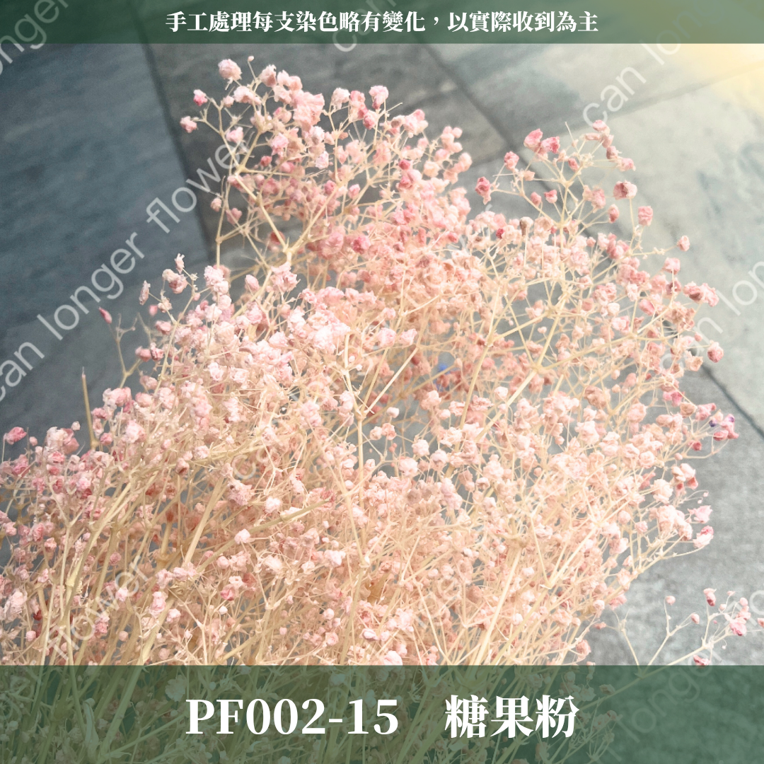 ✿ 台灣現貨 ✿ PF002 夢幻星