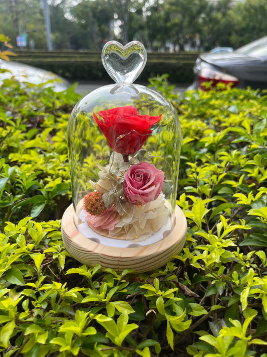 gift-g009永生花小罩盅s
