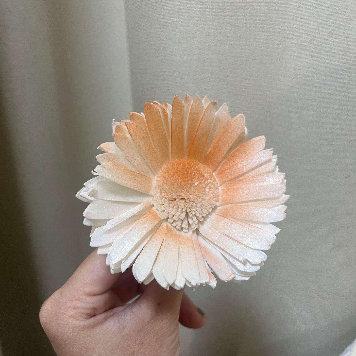 ✿ 台灣現貨 ✿ S-AD 索拉花 8CM 通草花 擴香花 向日葵 太陽花 太陽菊