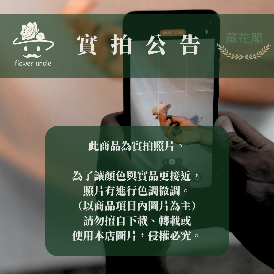 DA046 金合歡 台灣現貨