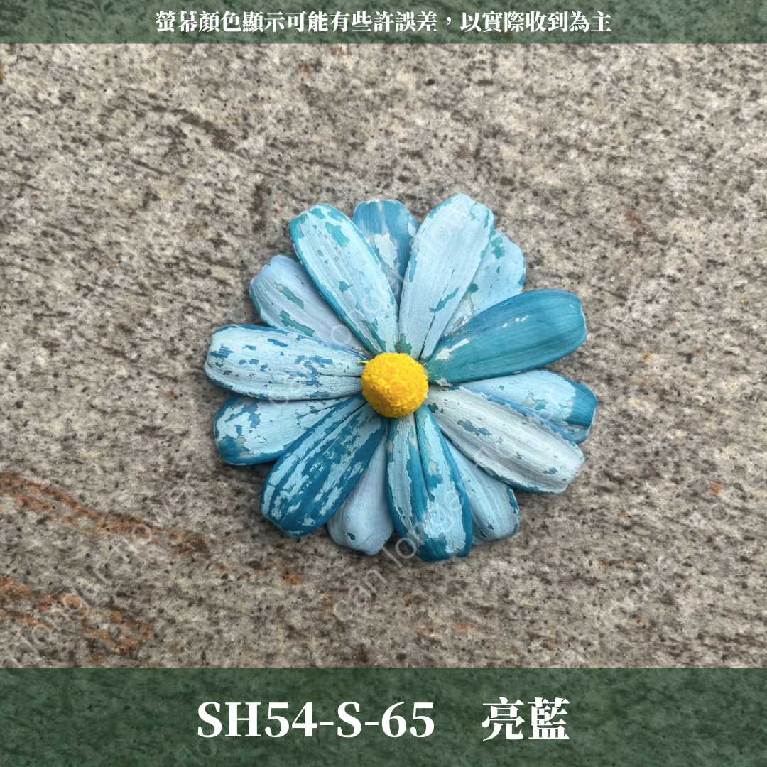 SH54-S 小雛菊花頭 單朵 台灣現貨