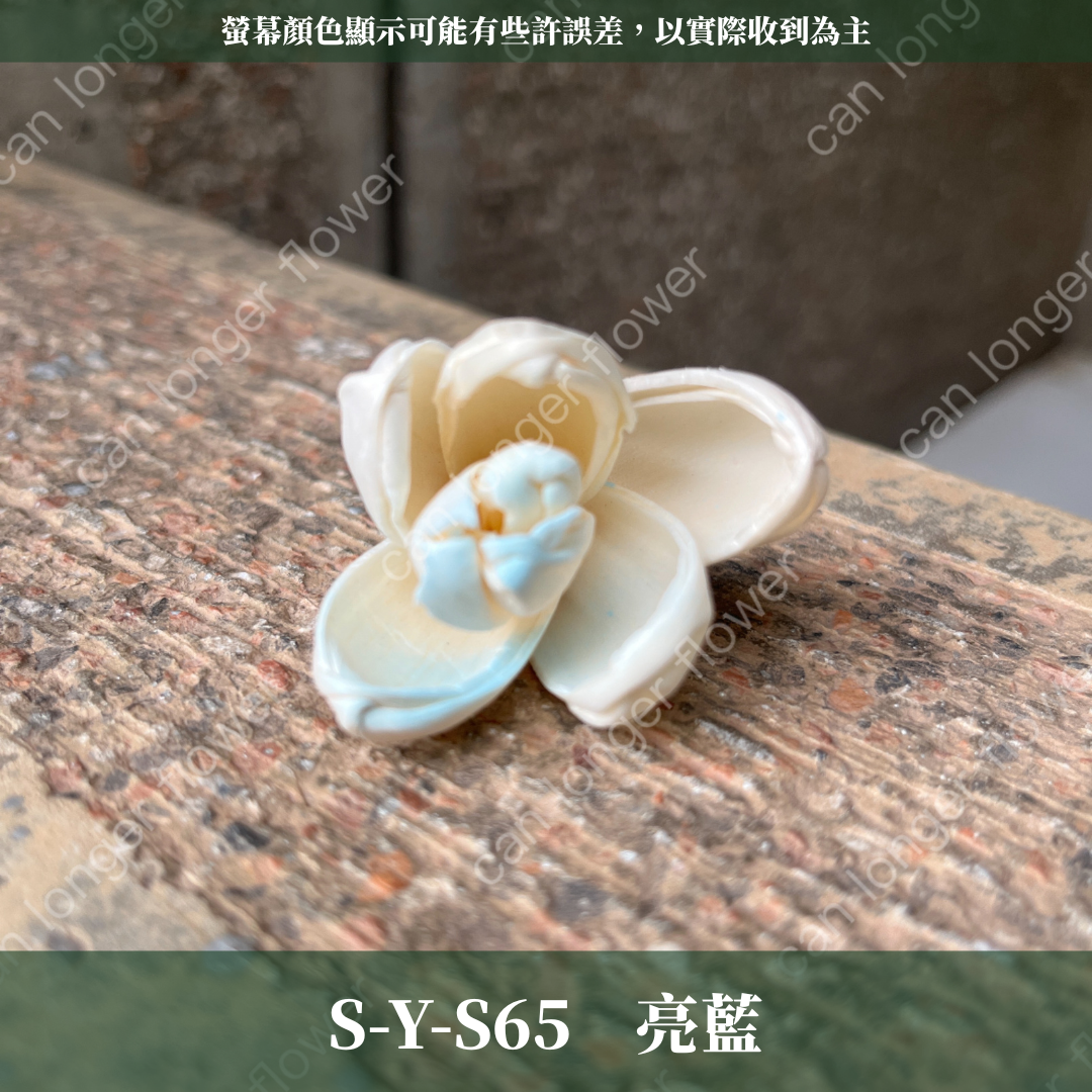 S-Y 索拉花 4CM 通草花 擴香花 台灣現貨