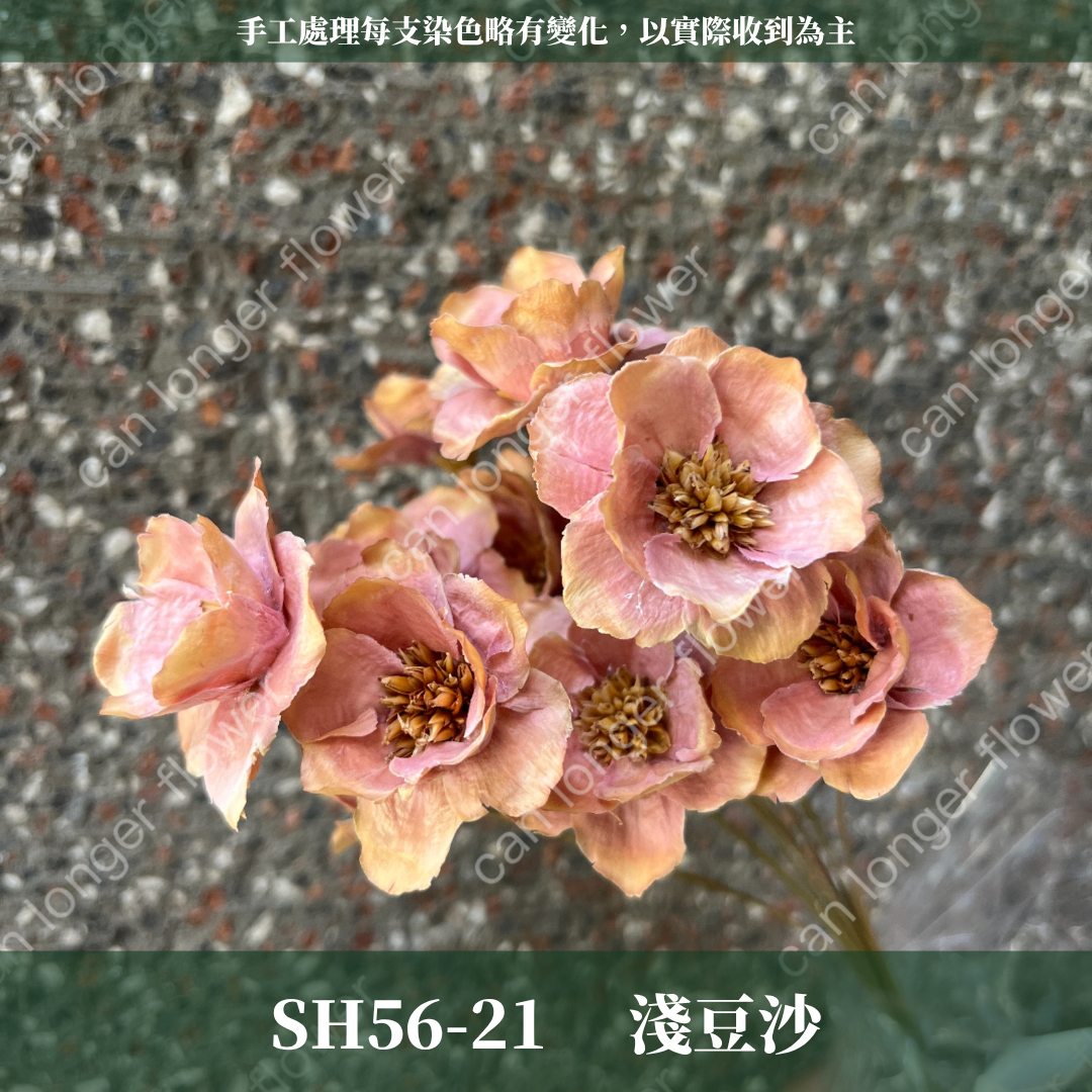 ✿ 台灣現貨 ✿ SH56 銀連花 原裝 10支裝 手工花