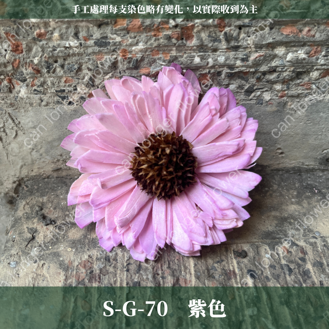 ✿ 台灣現貨 ✿ S-G 索拉花 6CM 通草花 擴香花