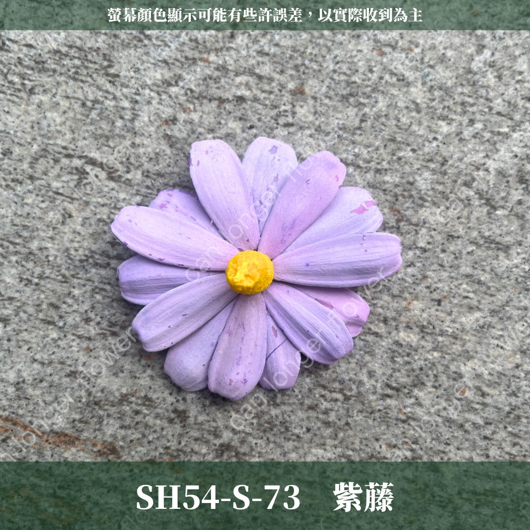SH54-S 小雛菊花頭 單朵 台灣現貨