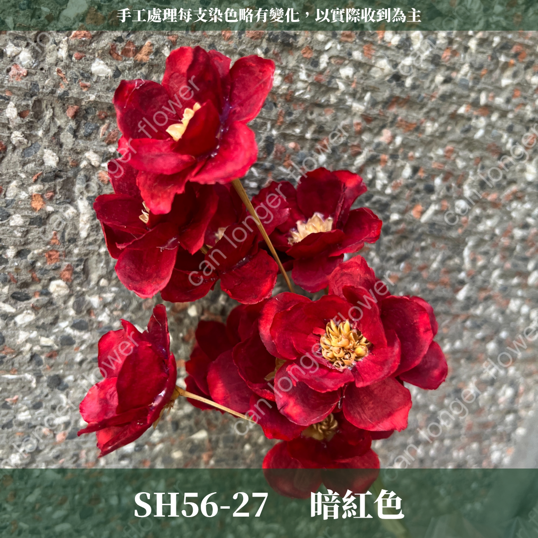 ✿ 台灣現貨 ✿ SH56 銀連花 原裝 10支裝 手工花