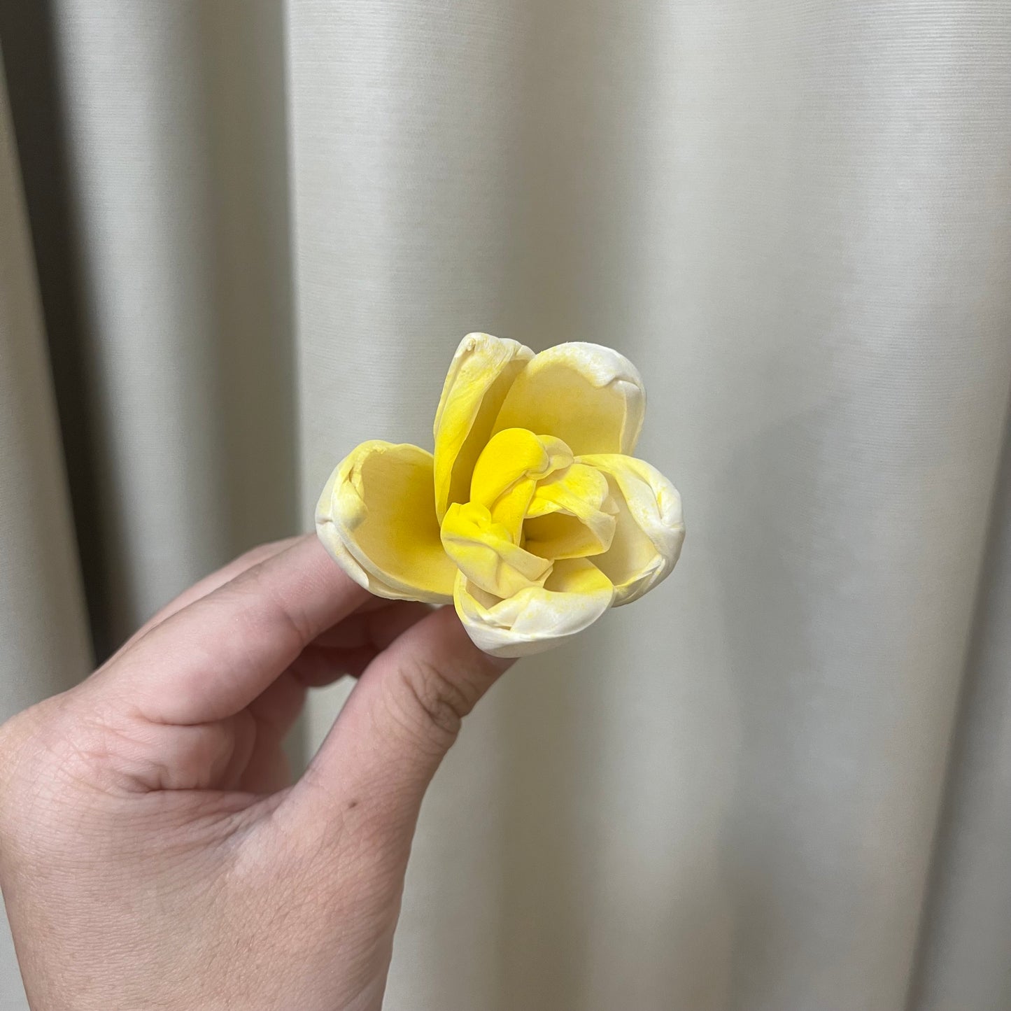 ✿ 台灣現貨 ✿ S-Y 索拉花 4CM 通草花 擴香花