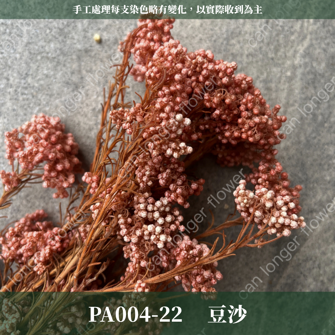 ✿ 台灣現貨 ✿ PA004 米香 水稻花 小米花
