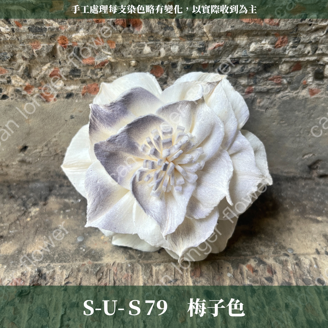 ✿ 台灣現貨 ✿ S-U 索拉花 6CM 通草花 擴香花