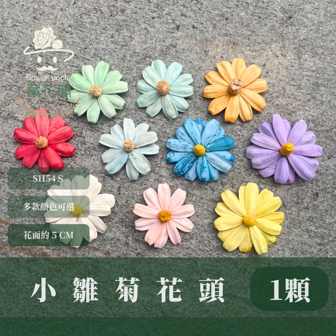SH54-S 小雛菊花頭 單朵 台灣現貨