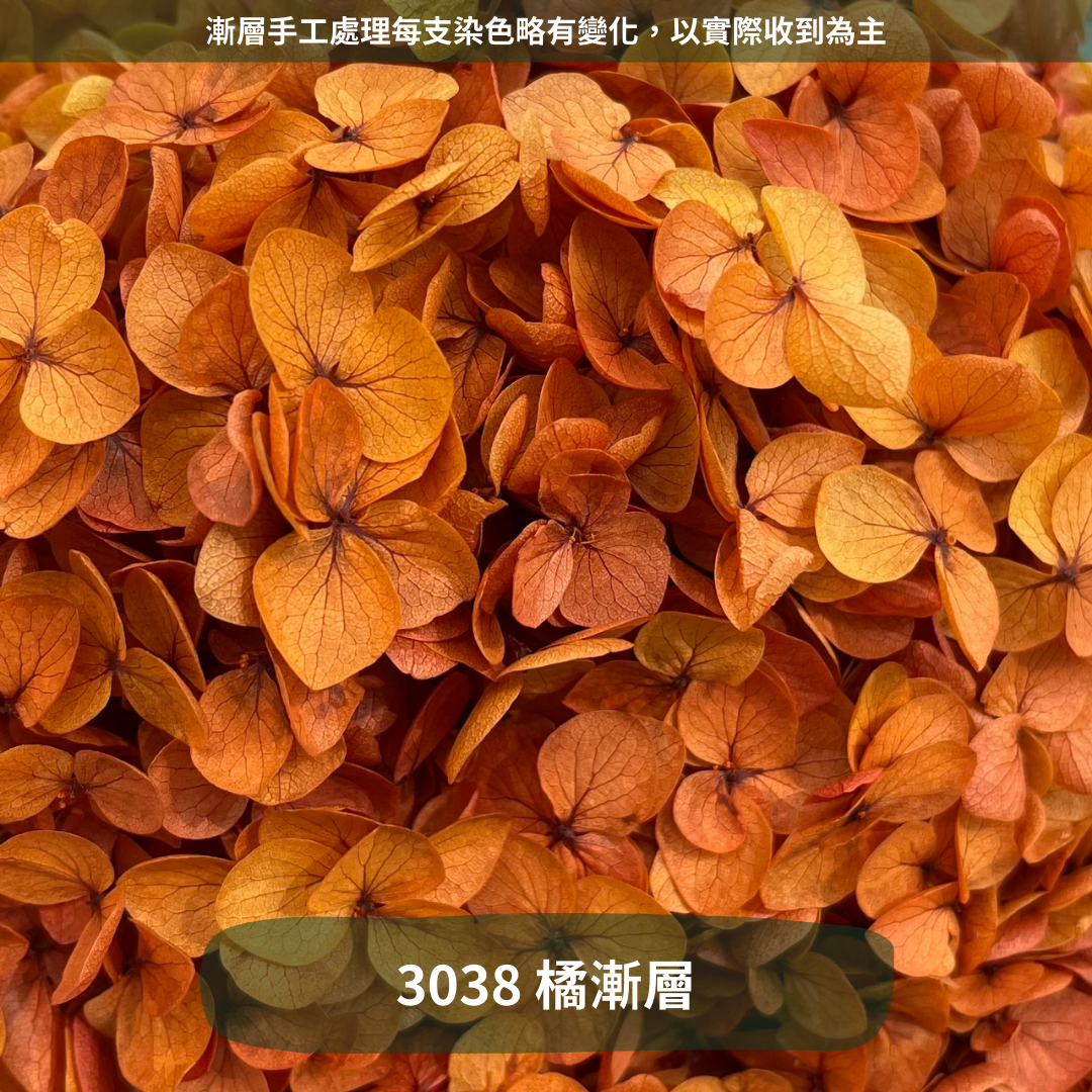 ✿ 台灣現貨 ✿ PF005 安娜繡球 單支 繡球花 繡球 紫陽花