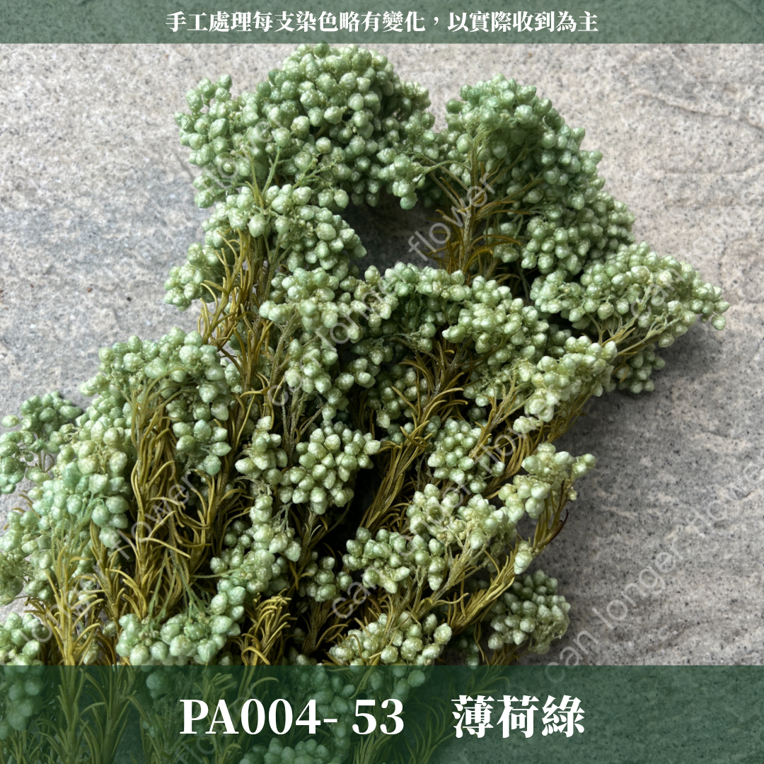 ✿ 台灣現貨 ✿ PA004 米香 水稻花 小米花