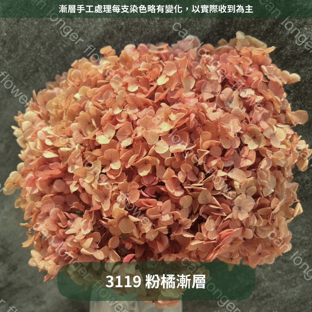 ✿ 台灣現貨 ✿ PF005 安娜繡球 單支 繡球花 繡球 紫陽花