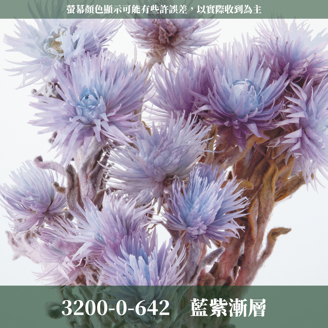 3200-0 日本旱雪蓮 シルバーデージー 日本大地農園 25g 原裝 日本進口