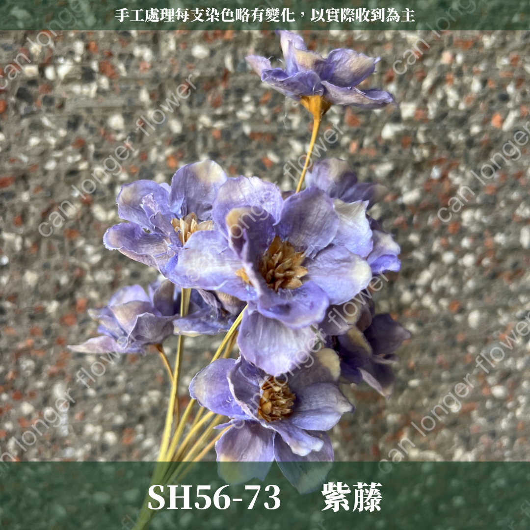 ✿ 台灣現貨 ✿ SH56 銀連花 原裝 10支裝 手工花