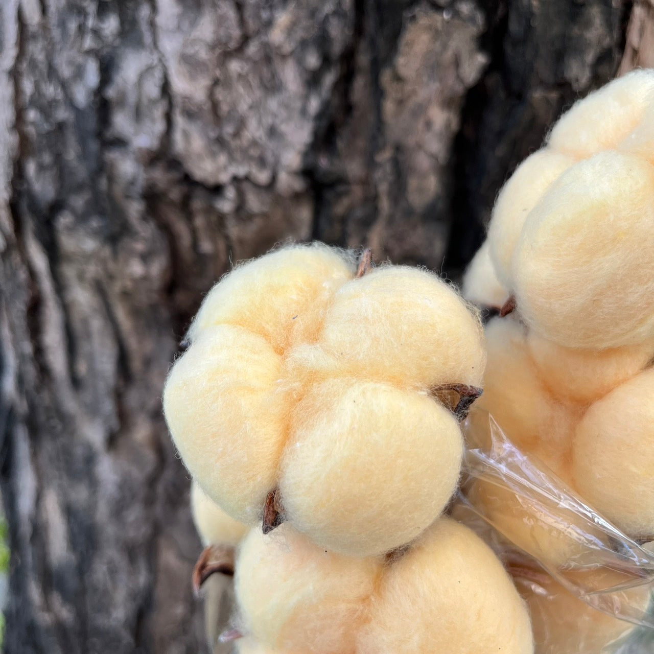 ✿ 台灣現貨 ✿ SH00棉花 原裝 十支裝 手工花