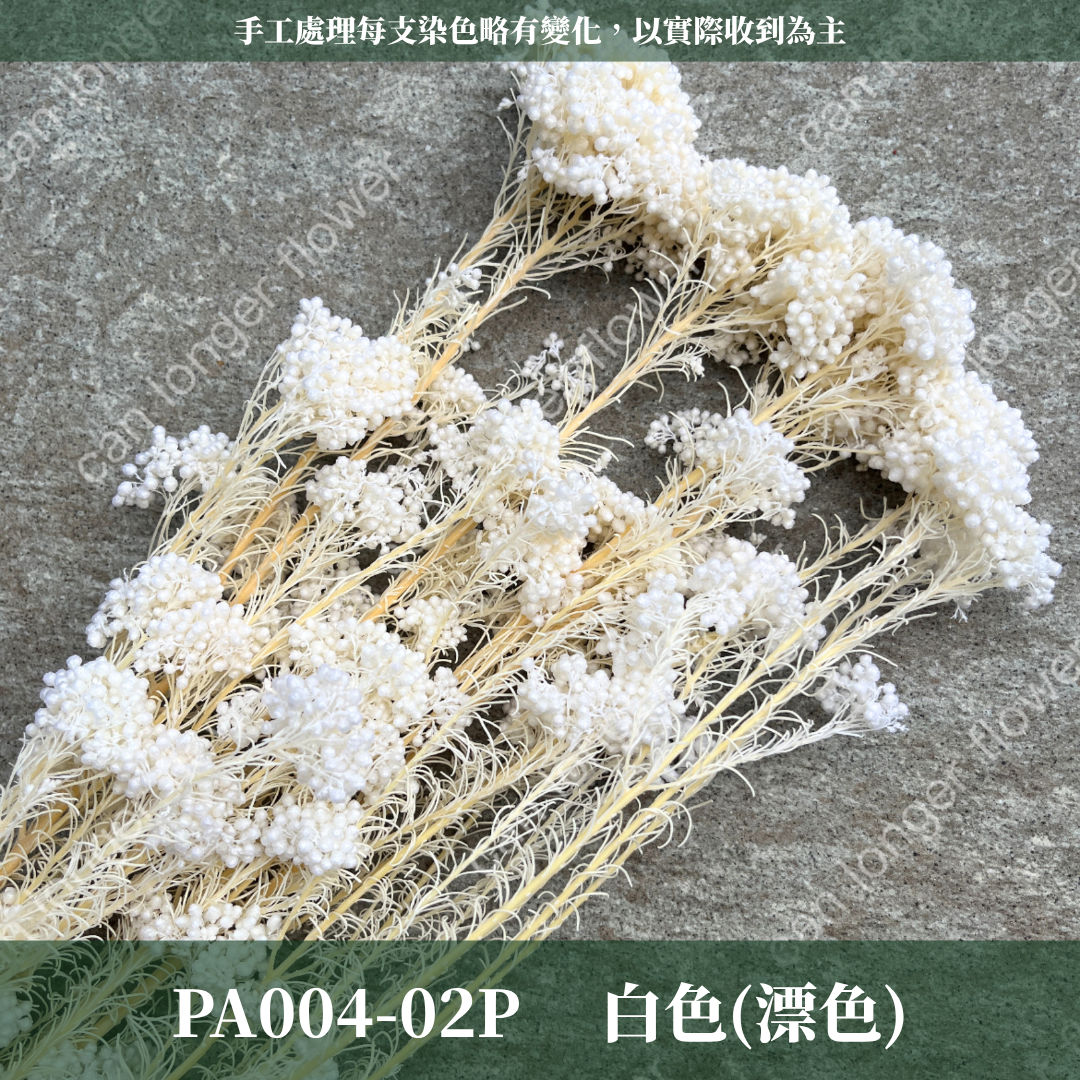 ✿ 台灣現貨 ✿ PA004 米香 水稻花 小米花