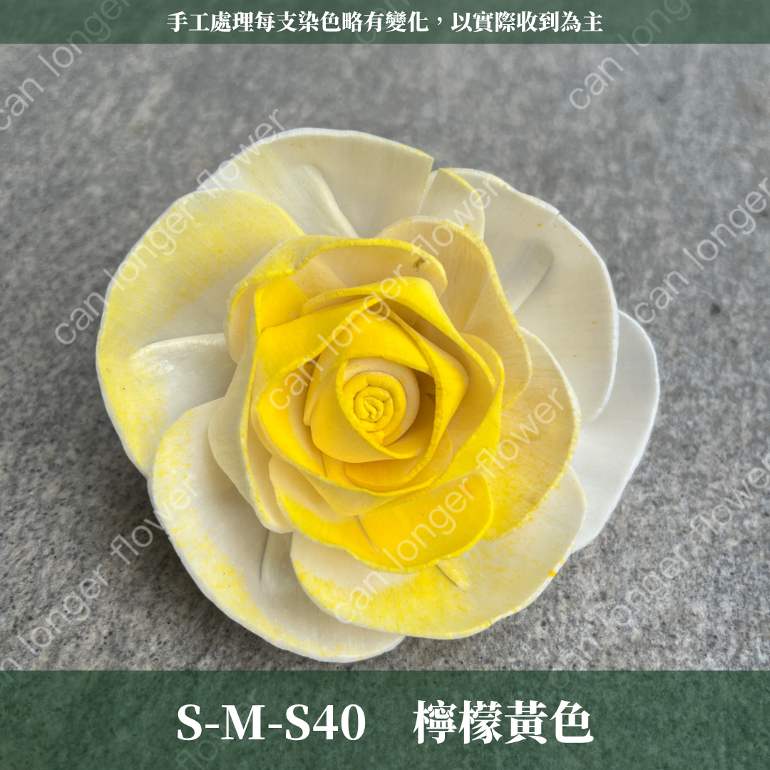 S-M 索拉花 8CM 通草花 擴香花 天使玫瑰 玫瑰 薔薇