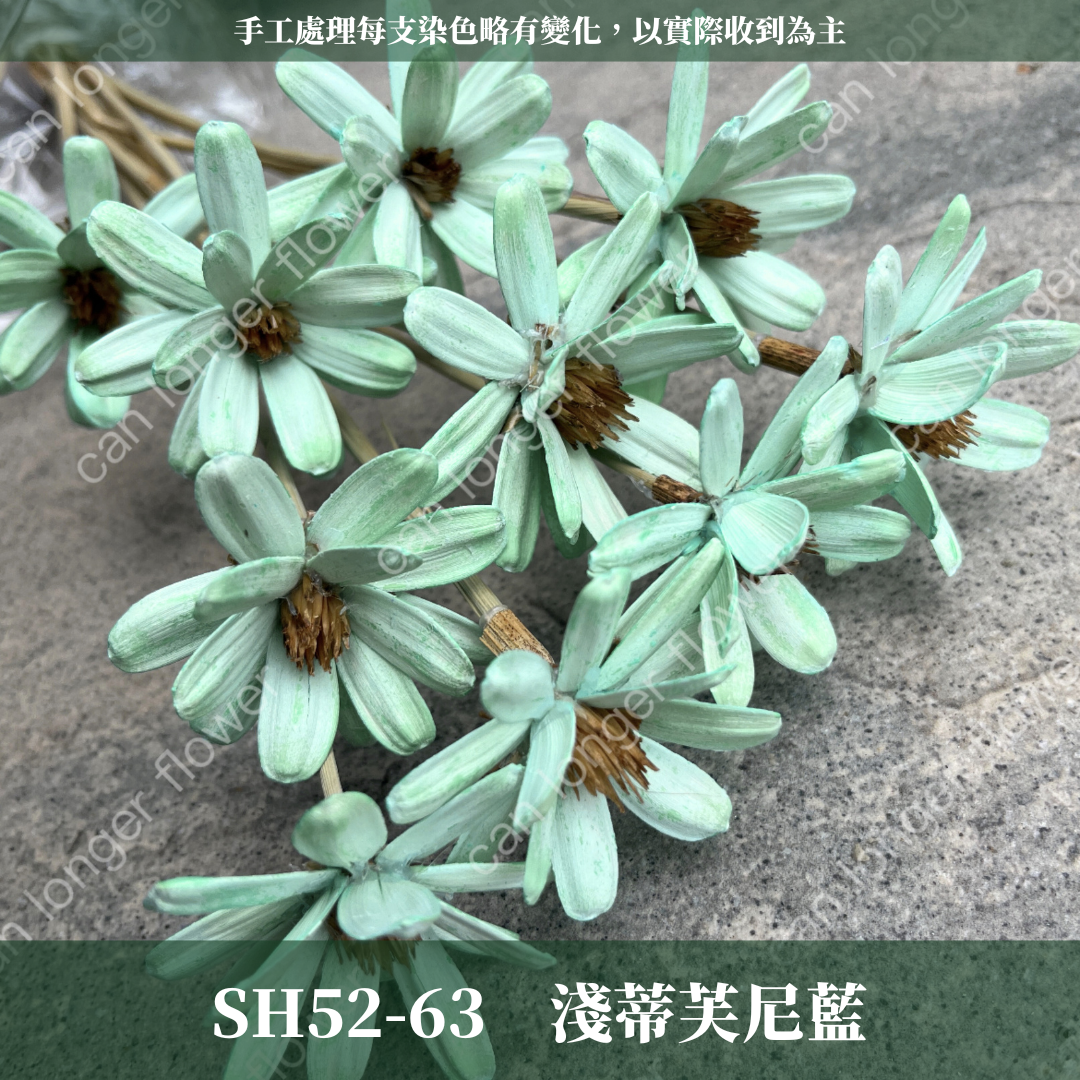 SH52 瓜子花 原裝 10支裝 台灣現貨