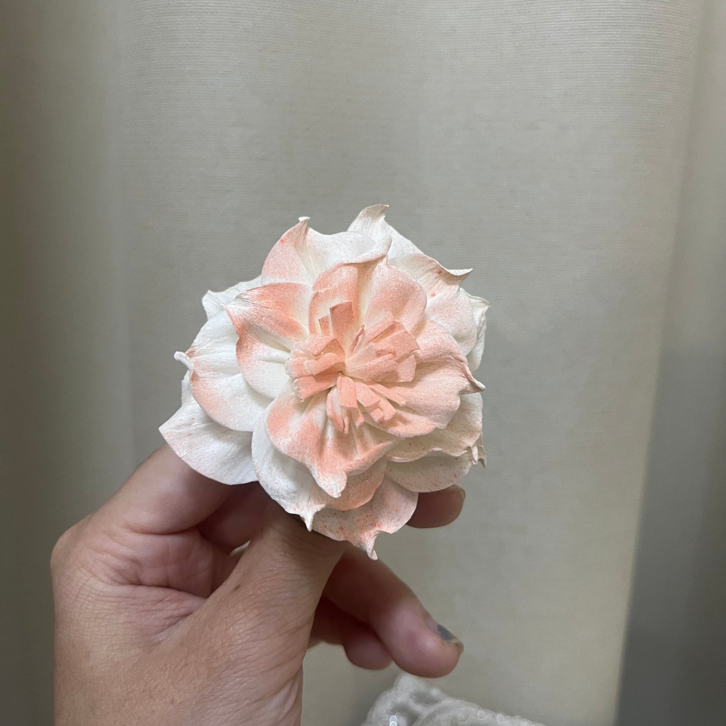 ✿ 台灣現貨 ✿ S-U 索拉花 6CM 通草花 擴香花