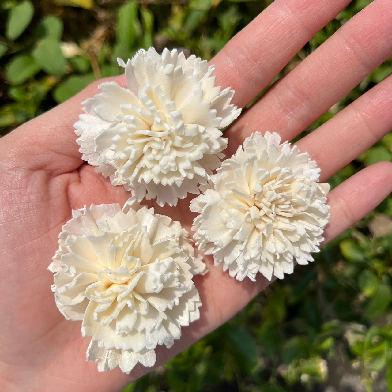 ✿ 台灣現貨 ✿ S-AE 索拉花 4CM 通草花 擴香花 康乃馨 小菊