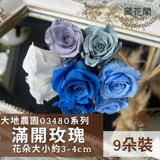 【台灣現貨】花大伯 03480 日本大地農園 中玫瑰 9朵裝 原裝 款式色彩齊全 永生玫瑰 不凋玫瑰