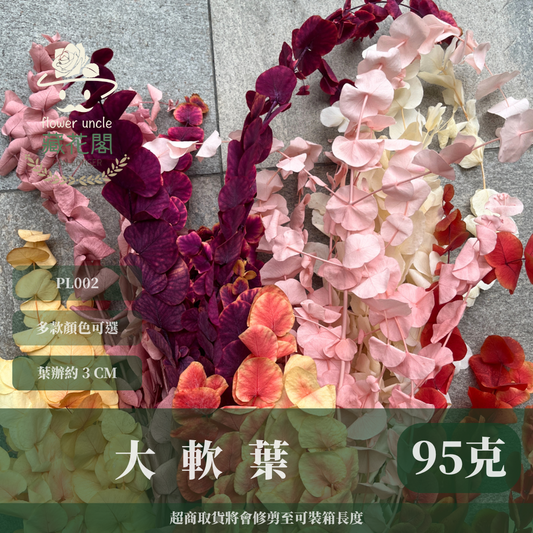 PL002 花藝獨家 大軟葉尤加利 尤加利 特殊尤加利