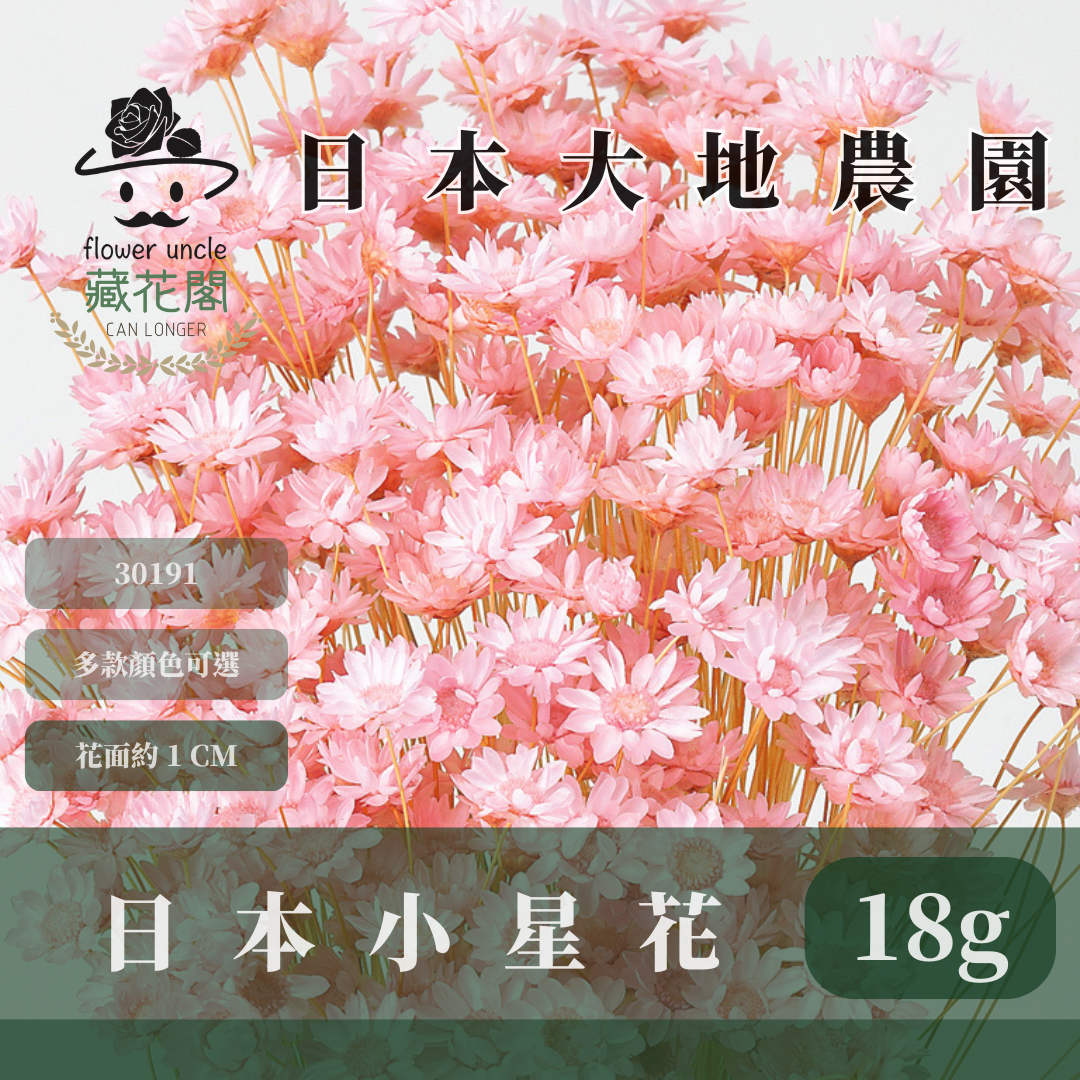 30191 日本小星花 原裝18克 スターフラワー・ブロッサム 日本大地農園 日本進口