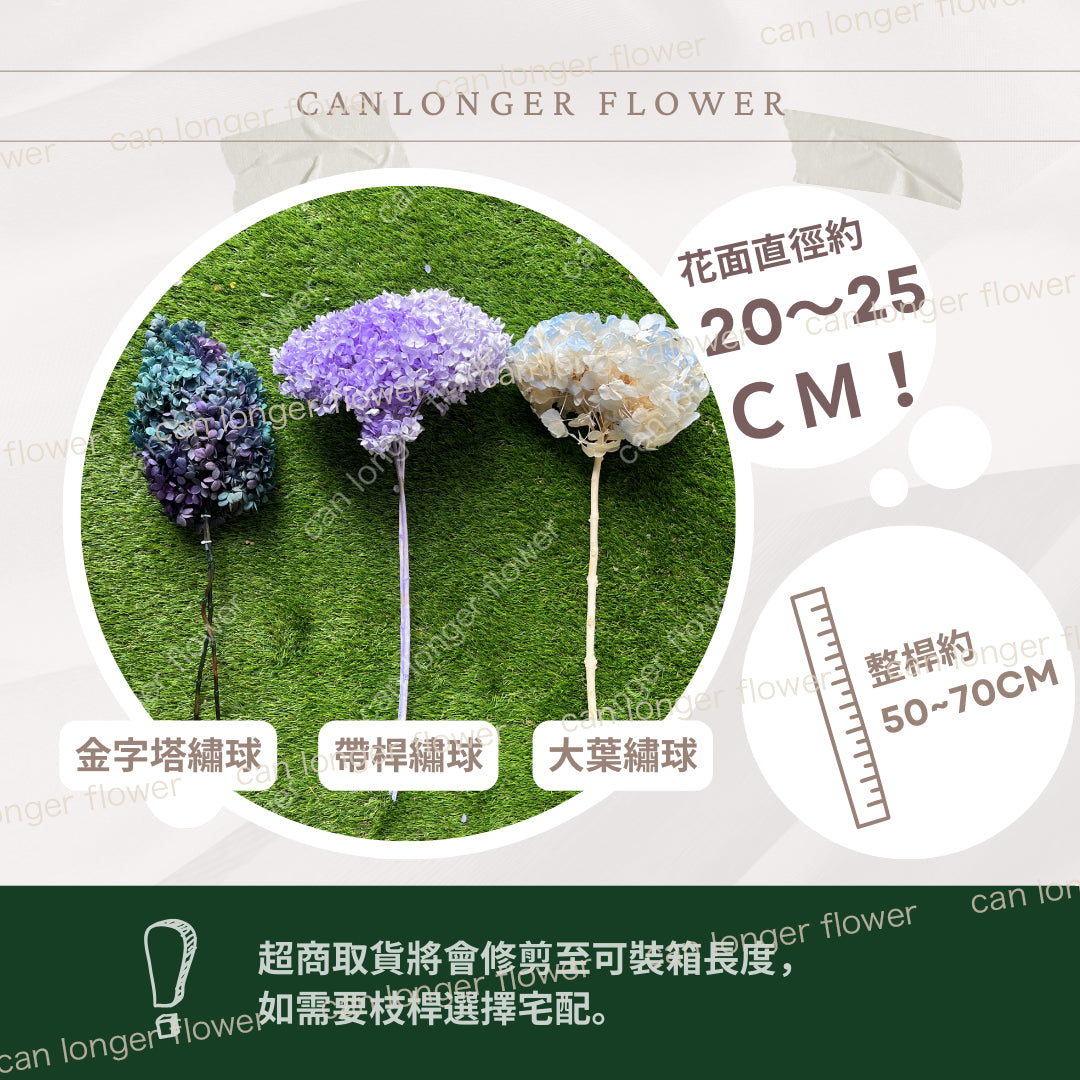 ✿ 台灣現貨 ✿ PF005 安娜繡球 單支 繡球花 繡球 紫陽花