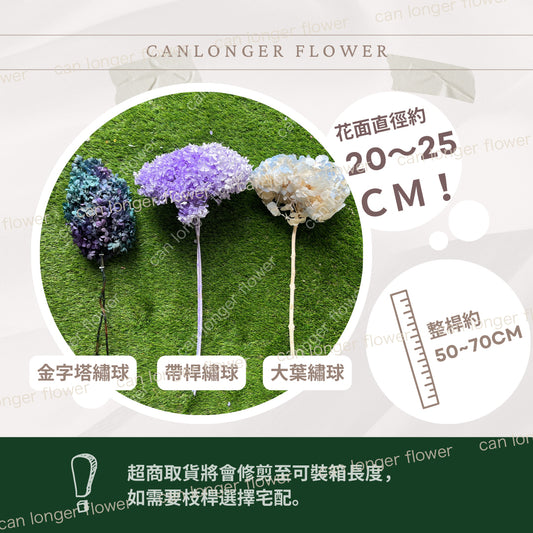 ✿ 台灣現貨 ✿  PF005B-M 盒裝大葉繡球