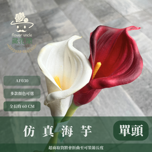 AF030 仿真海芋(單支) 仿真花