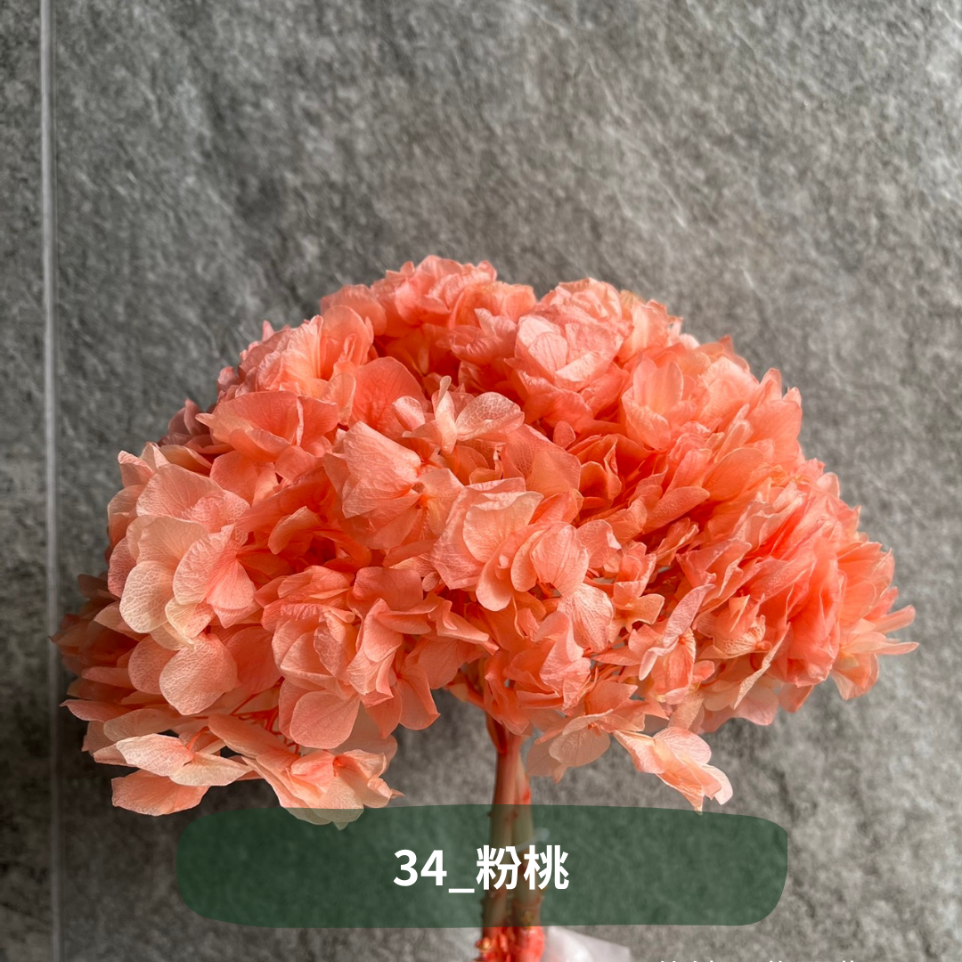 ✿ 台灣現貨 ✿  PF005B大葉繡球