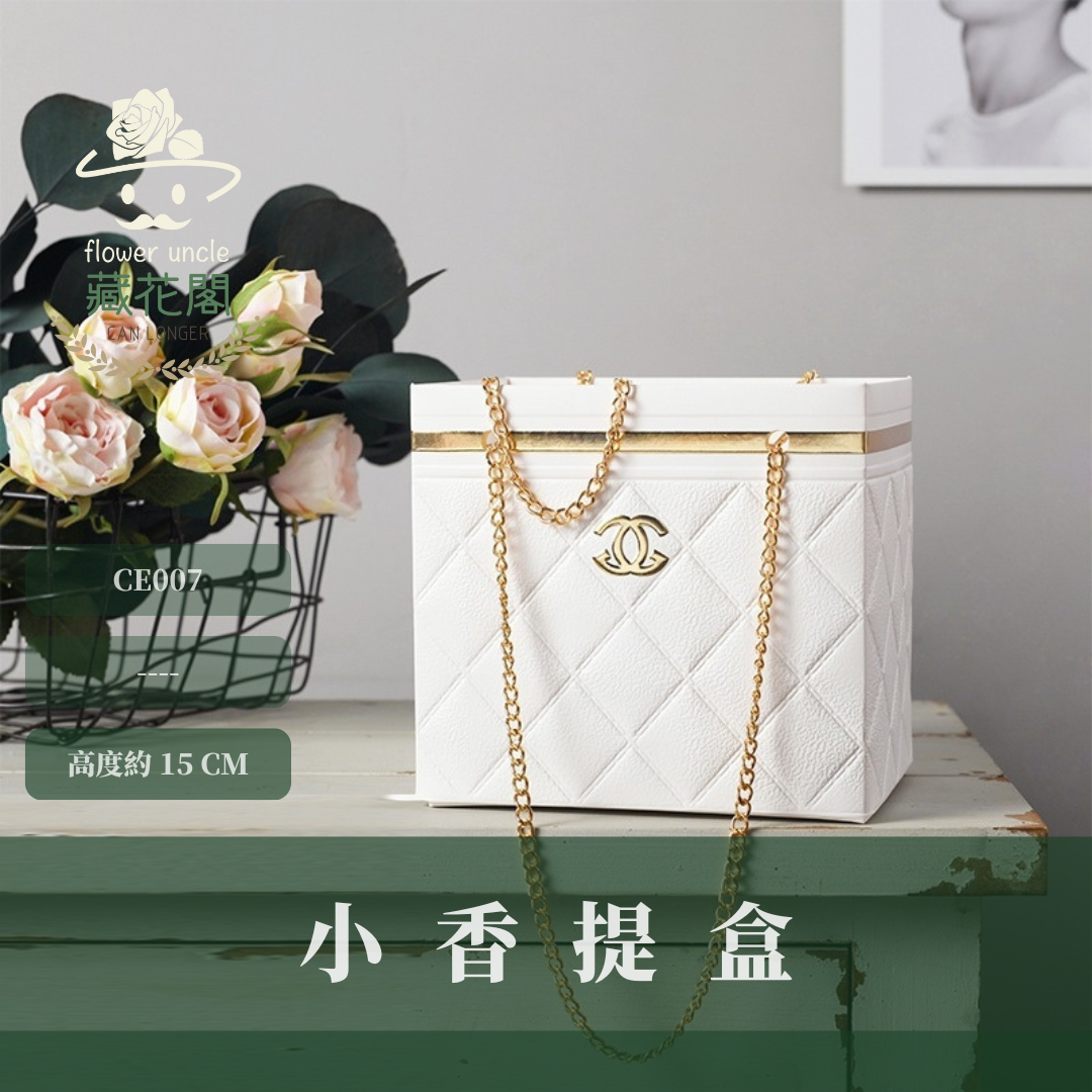 CE007 小香提盒  台灣現貨