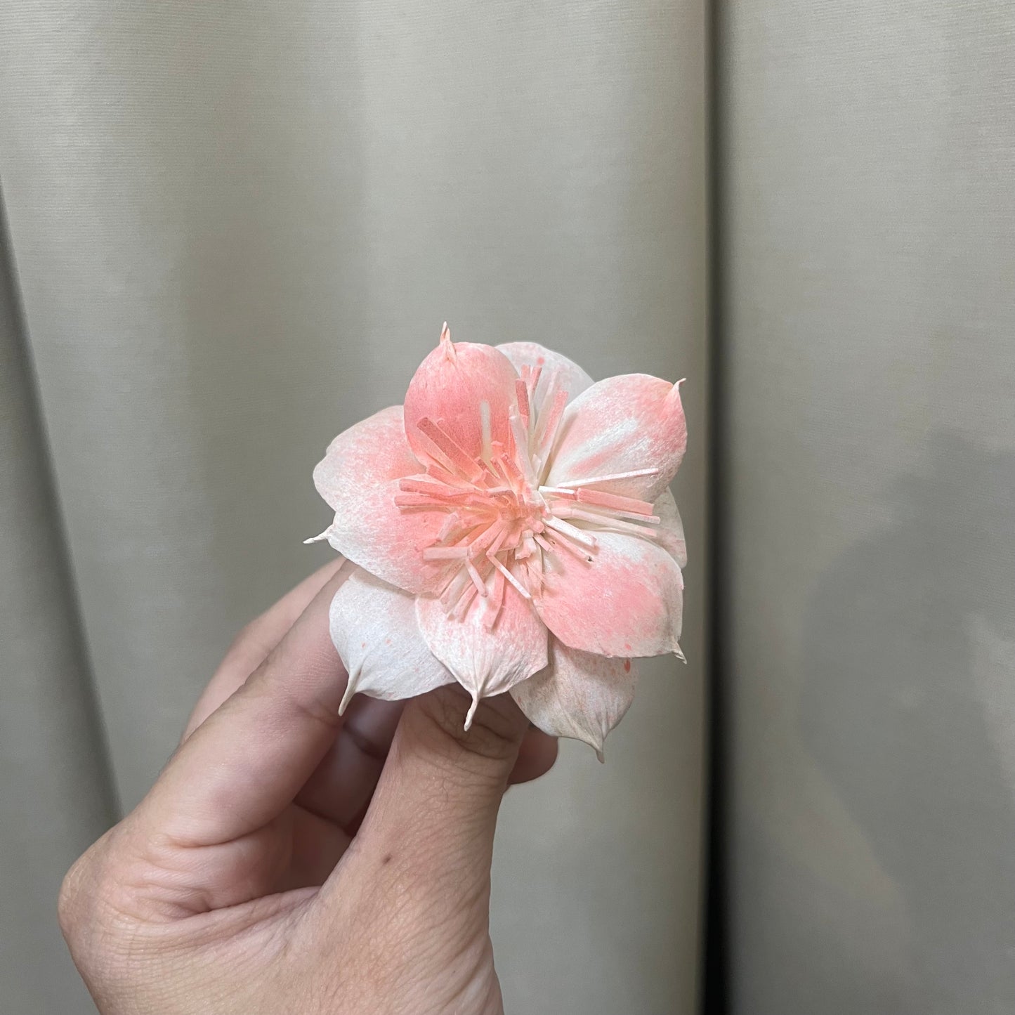 ✿ 台灣現貨 ✿ S-AC 索拉花 6CM 通草花 擴香花 水仙花