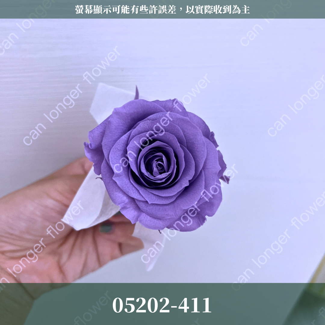 05202 大玫瑰