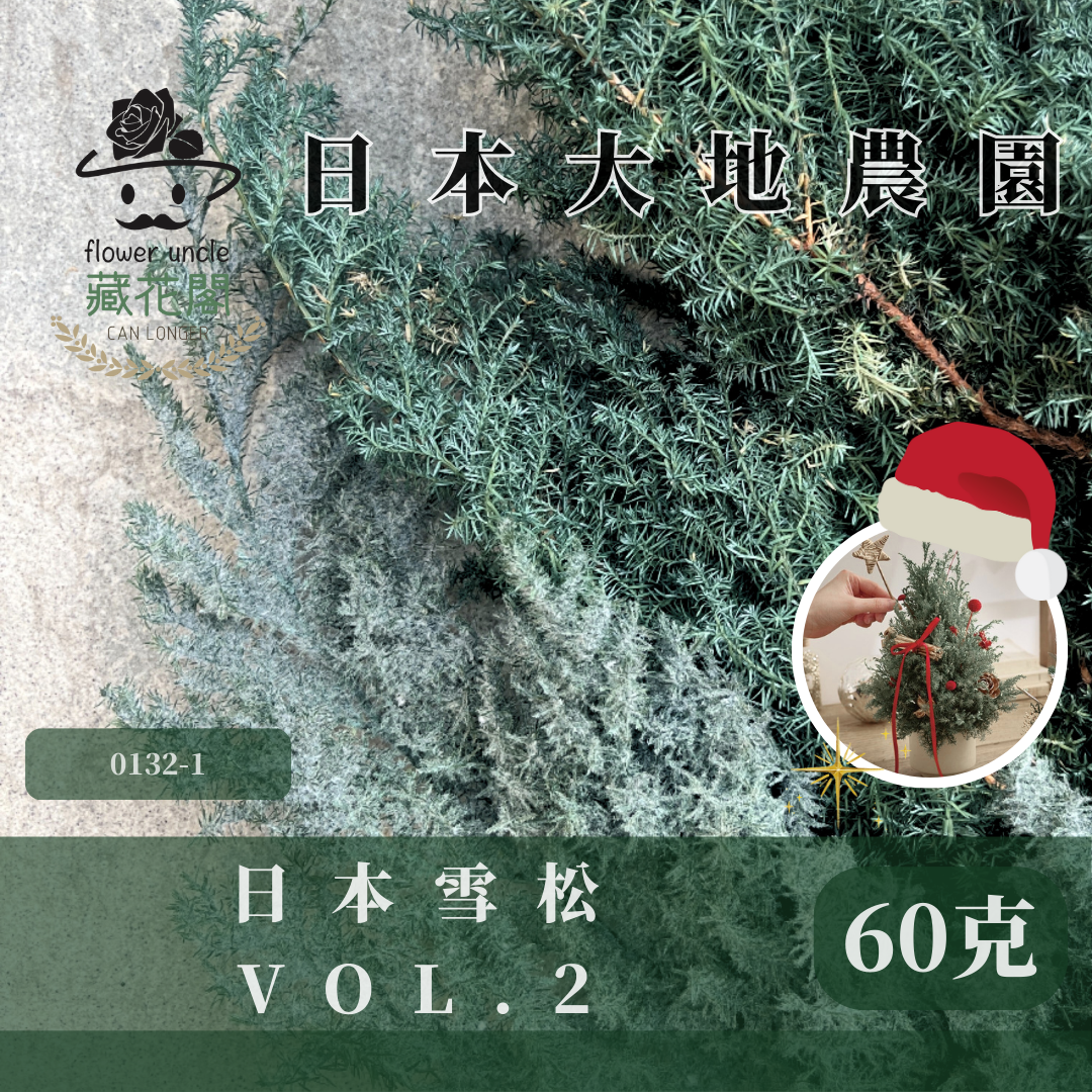 01321 雪松  日本大地農園 永生雪松 ヒムロスギ 日本雪松