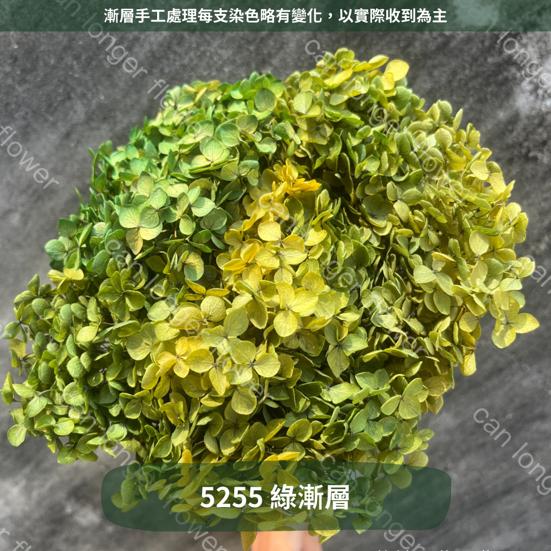✿ 台灣現貨 ✿ PF005 安娜繡球 單支 繡球花 繡球 紫陽花