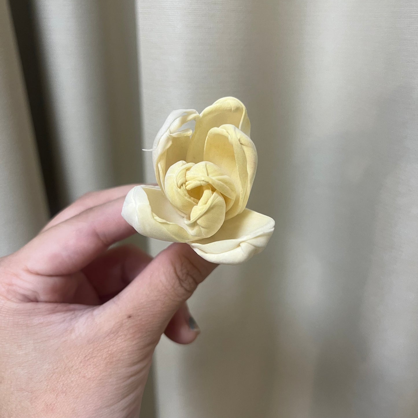 ✿ 台灣現貨 ✿ S-Y 索拉花 4CM 通草花 擴香花