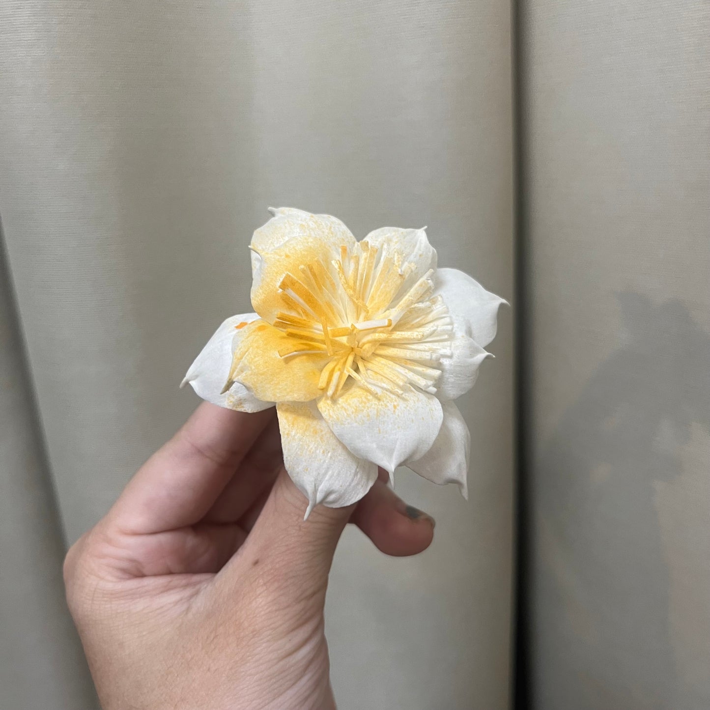 ✿ 台灣現貨 ✿ S-AC 索拉花 6CM 通草花 擴香花 水仙花