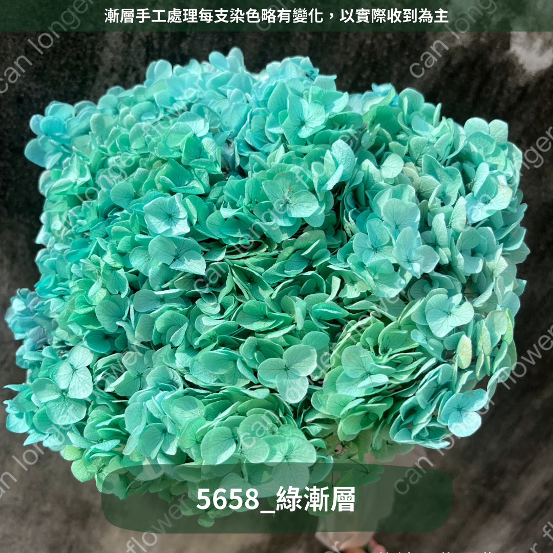 ✿ 台灣現貨 ✿ PF005 安娜繡球 單支 繡球花 繡球 紫陽花