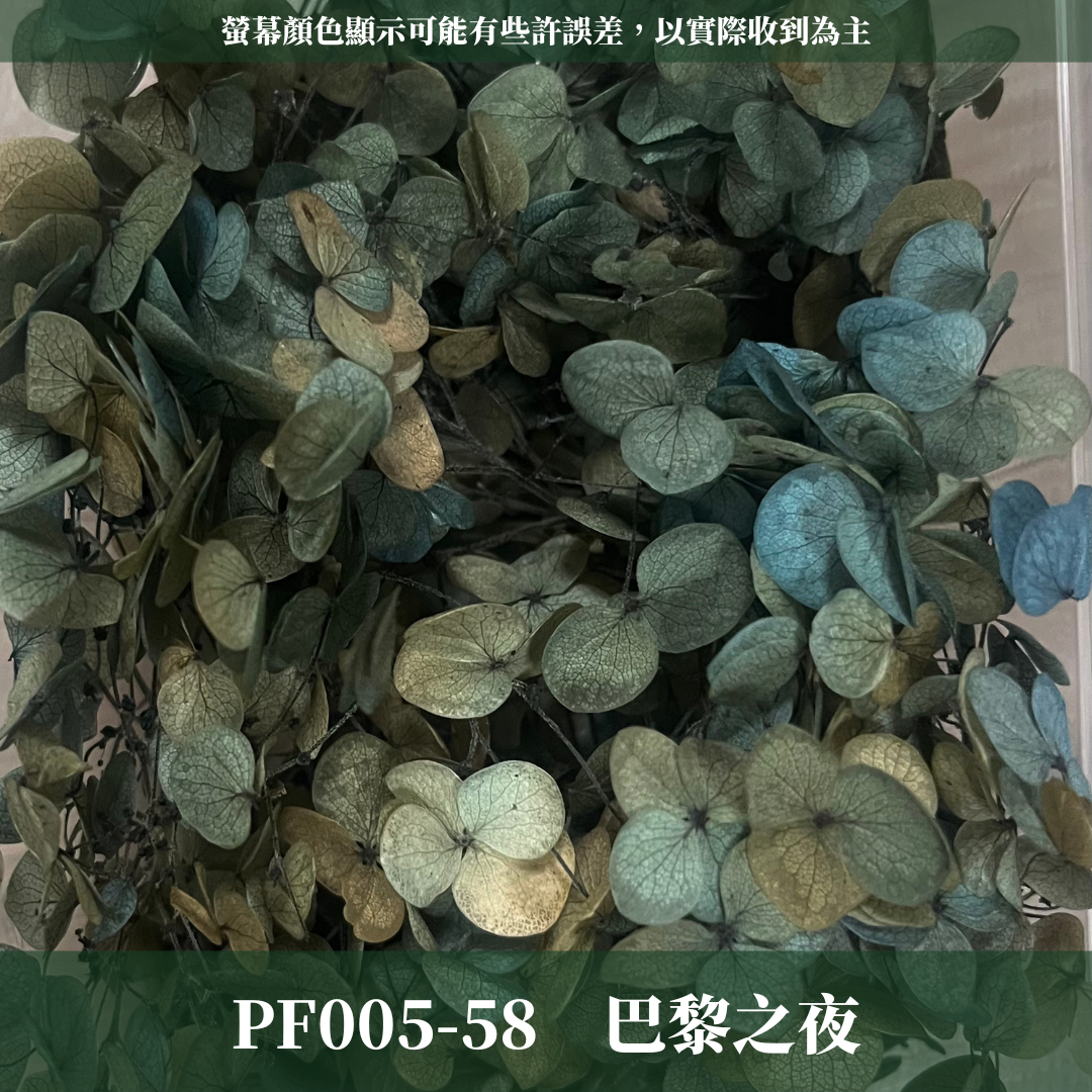 PF005-S 安娜繡球(約10克）盒裝 繡球 紫陽花 台灣現貨