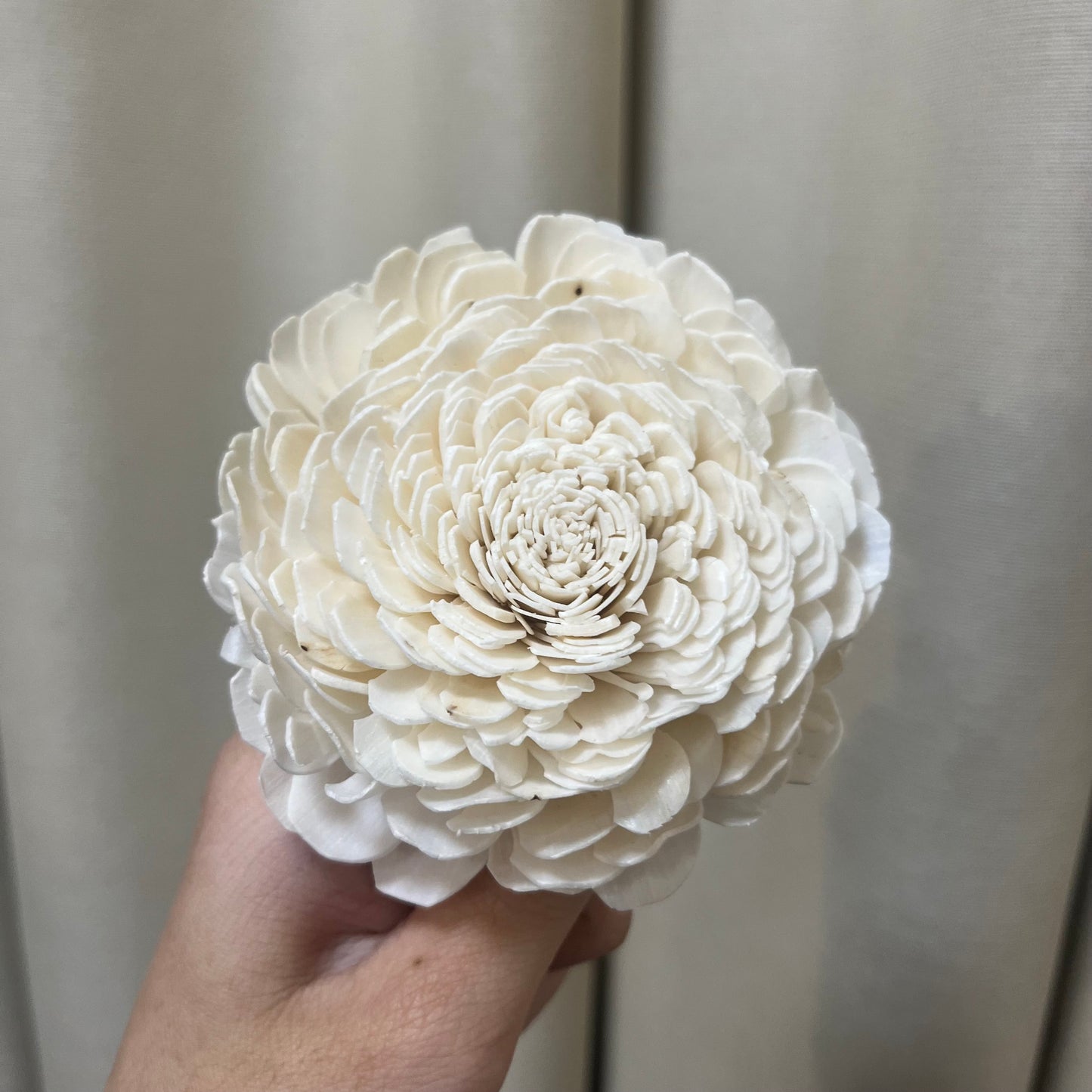 ✿ 台灣現貨 ✿ S-D 索拉花 8CM 通草花 擴香花 太陽玫瑰